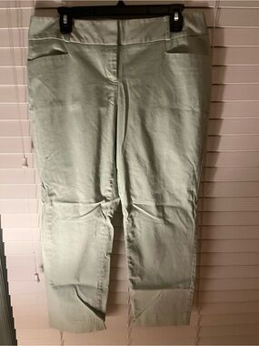 The Limited Mint Straight-Leg Pants